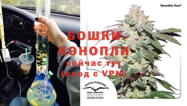 МДПВ Вяземский