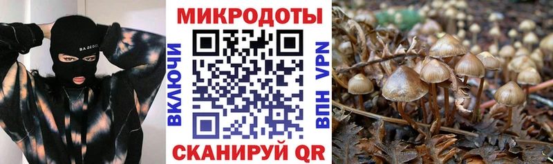 дарнет шоп  ссылка на мегу зеркало  Галлюциногенные грибы Cubensis  Ульяновск 